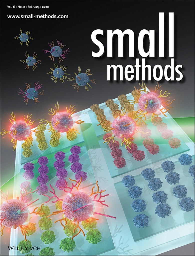 A. Shimoda et al., Small Methods, 2022